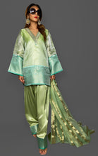 Load image into Gallery viewer, PISTA